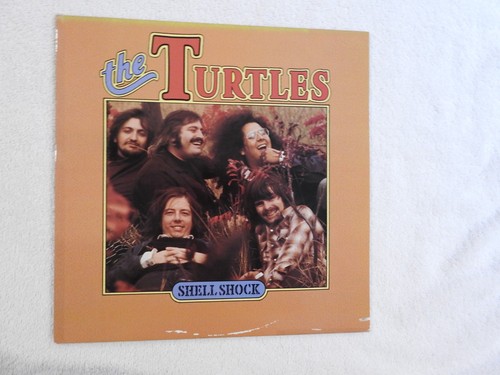 The turtles shell shock - the, "shell